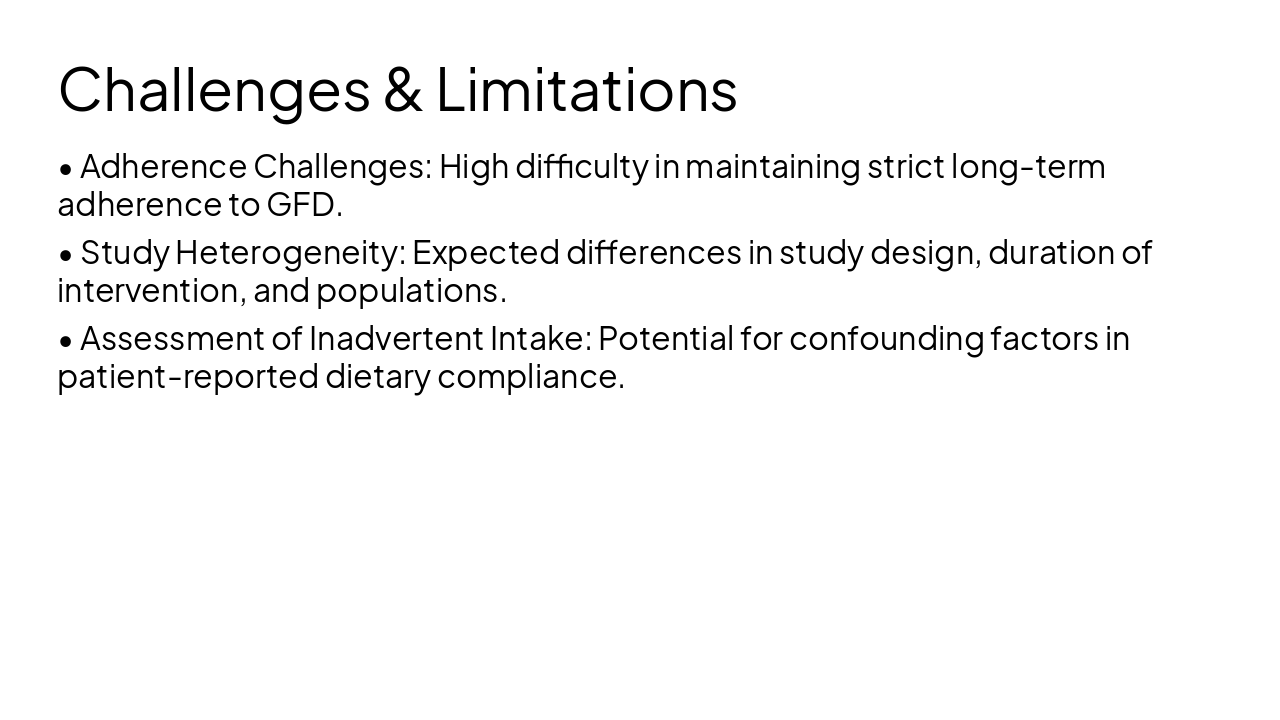 Slide 13 - Challenges & Limitations