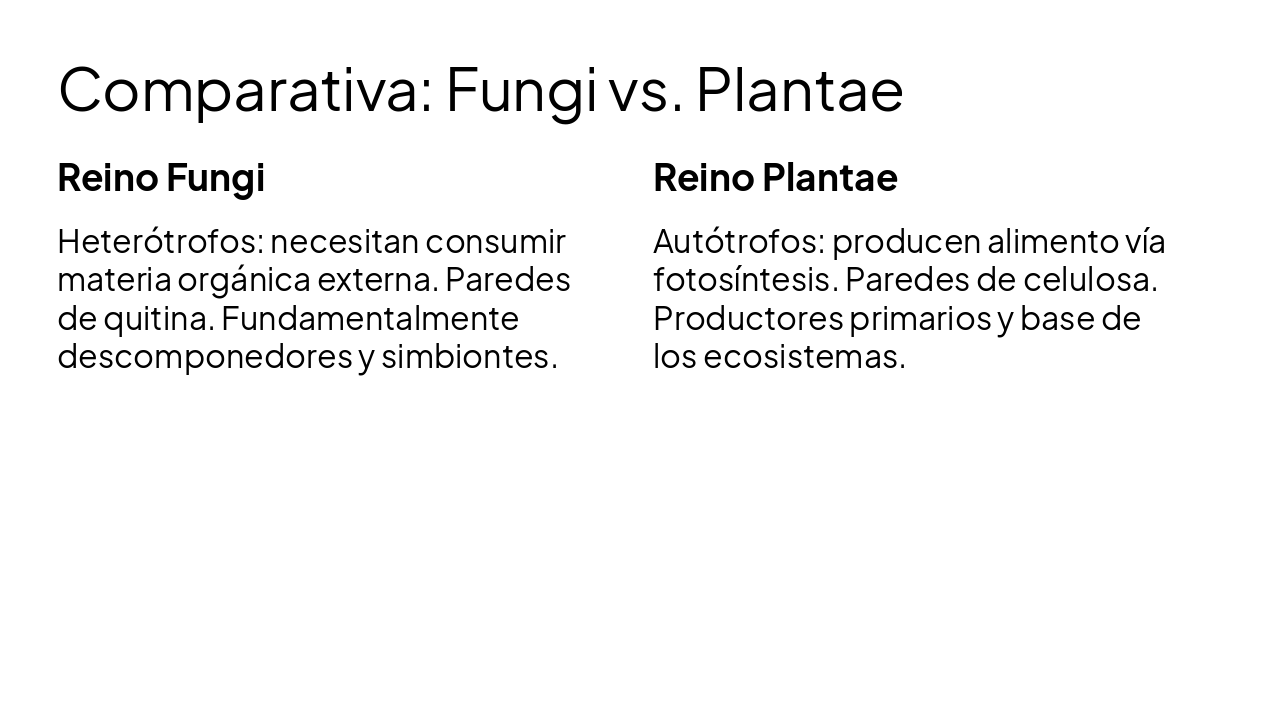 Slide 8 - Comparativa: Fungi vs. Plantae