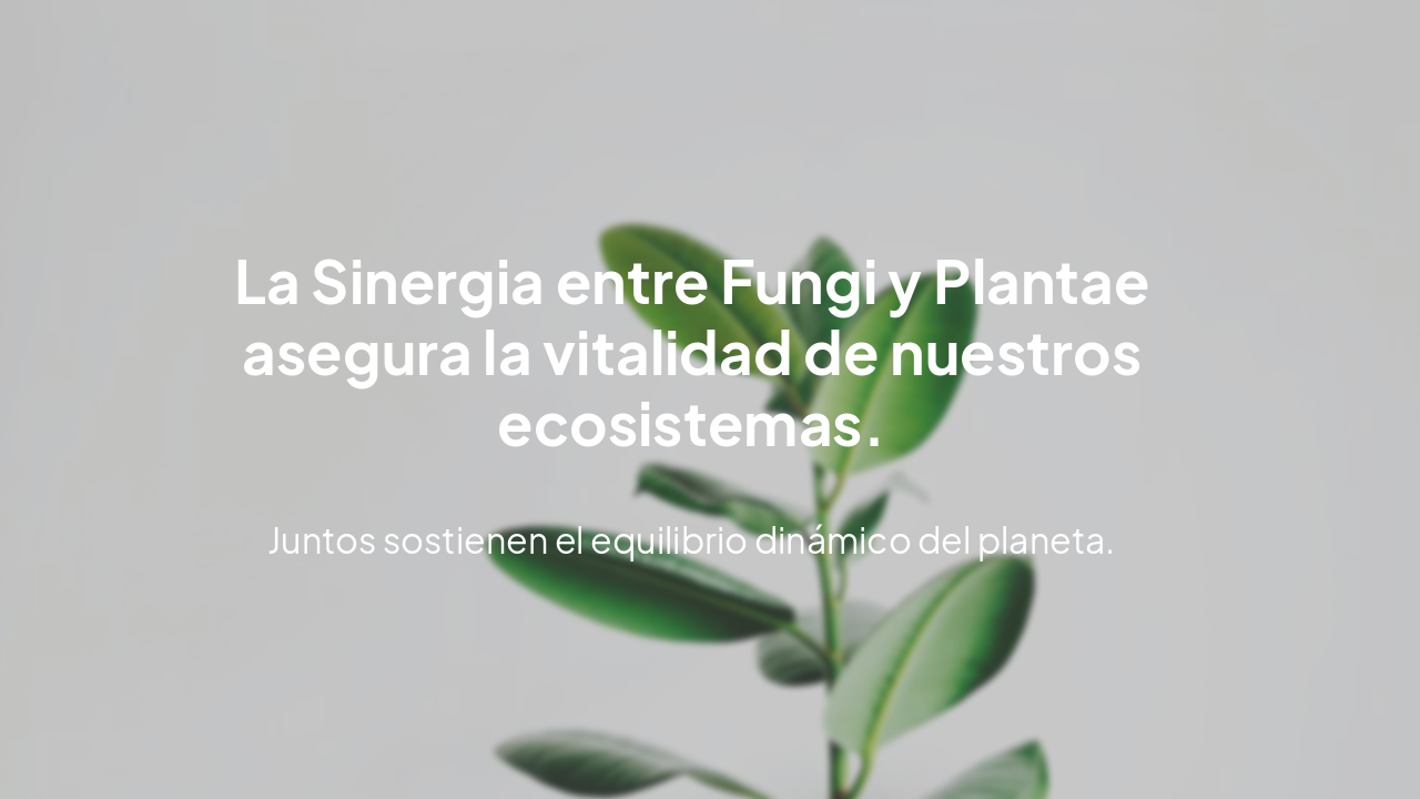 Slide 9 - Conclusión