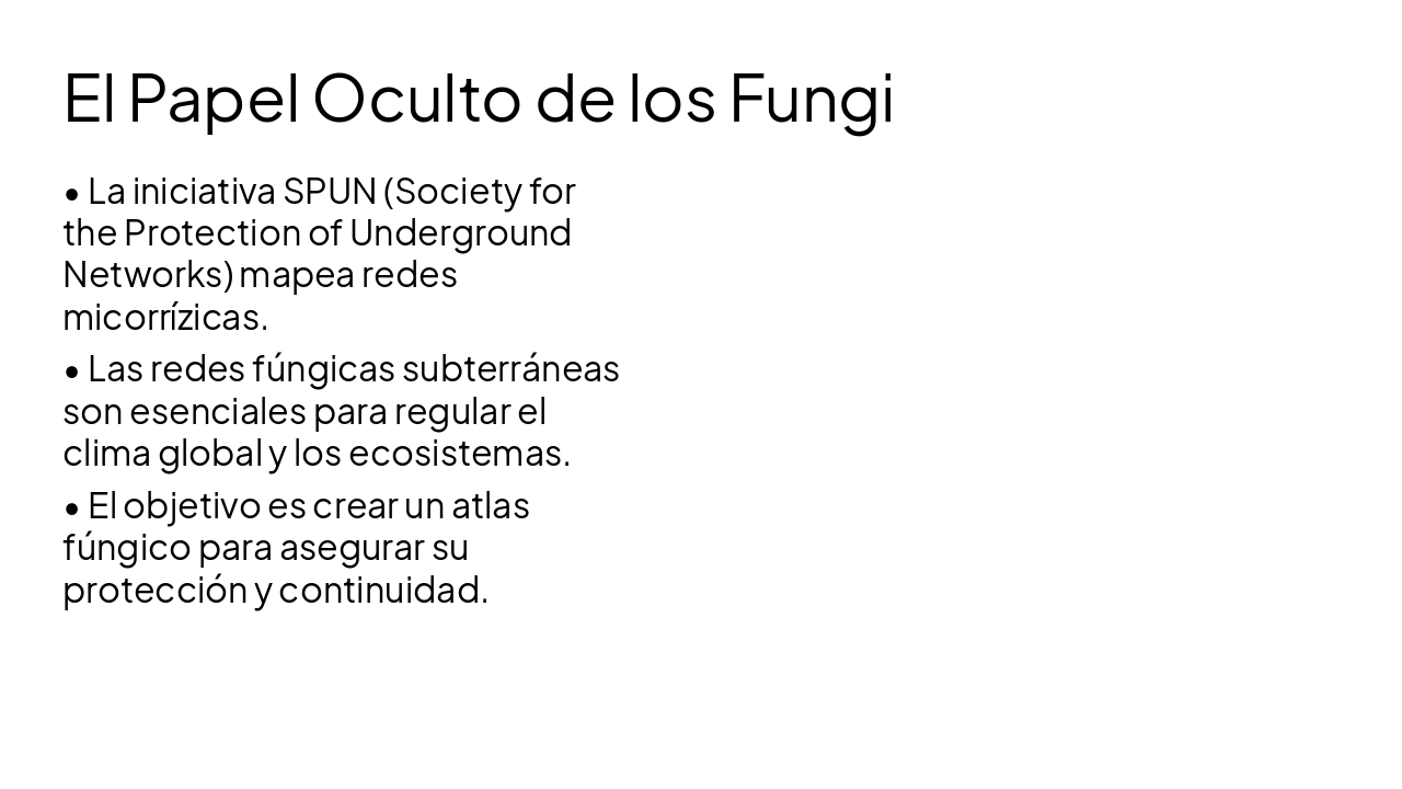 Slide 5 - El Papel Oculto de los Fungi