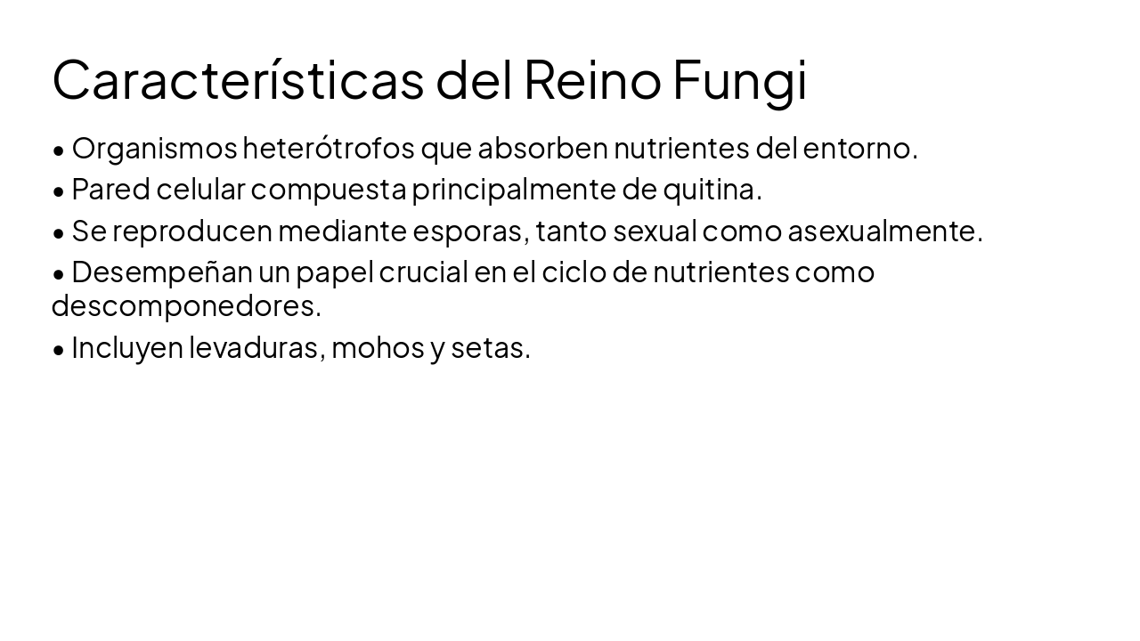 Slide 4 - Características del Reino Fungi