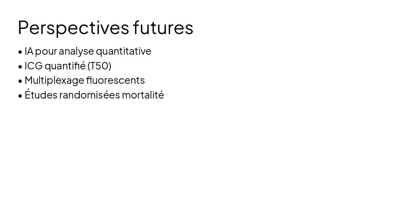 Slide 20 - Perspectives futures