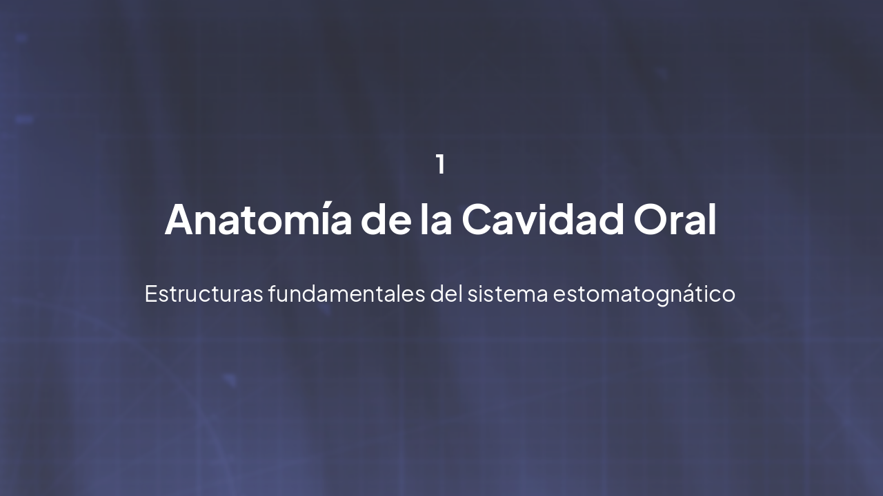 Slide 2 - Anatomía