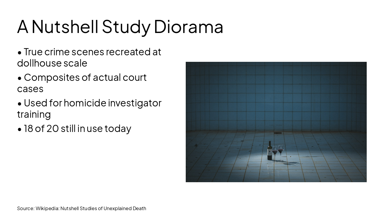Slide 4 - A Nutshell Study Diorama