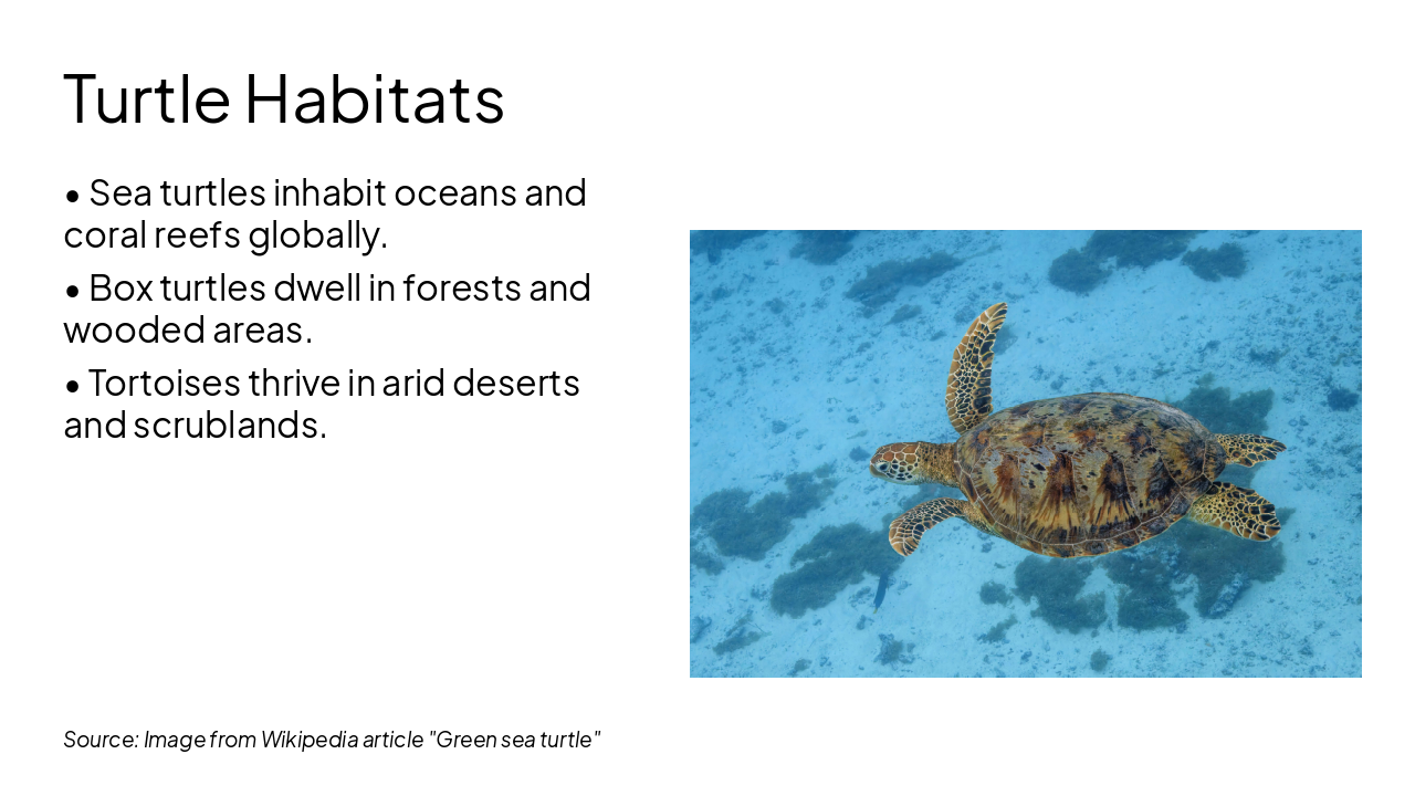 Slide 5 - Turtle Habitats
