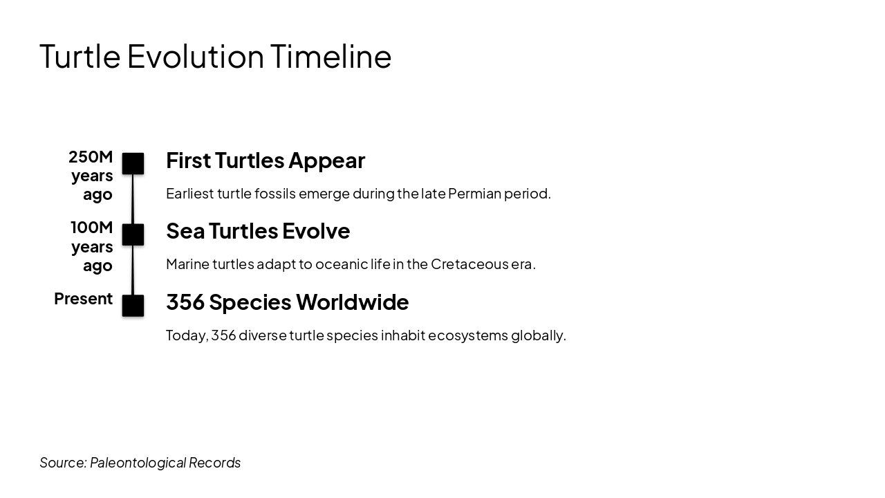 Slide 3 - Turtle Evolution Timeline