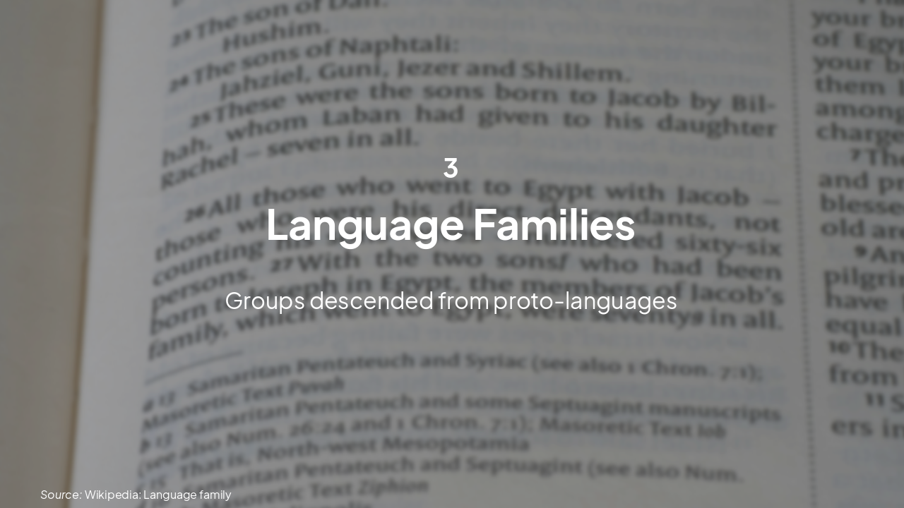 Slide 10 - Language Families