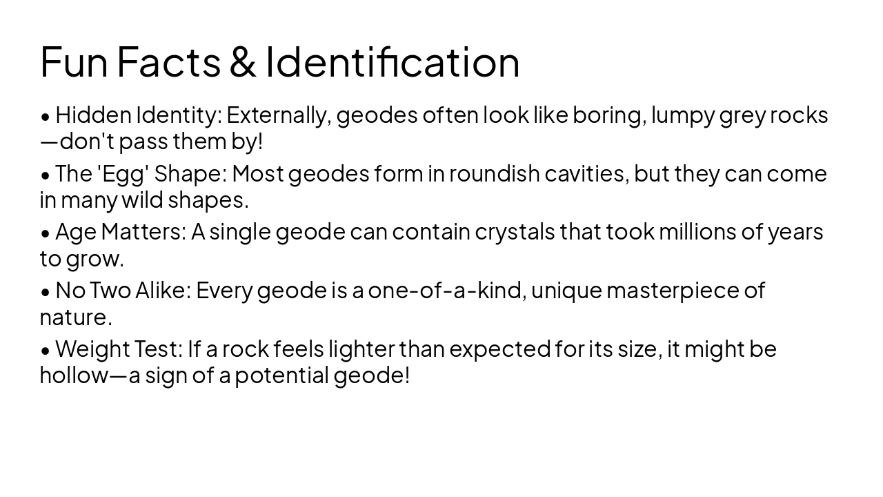 Slide 10 - Fun Facts & Identification