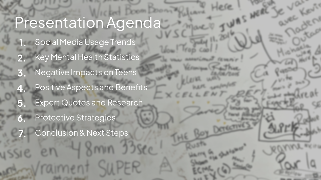 Slide 2 - Presentation Agenda