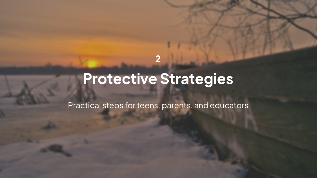 Slide 10 - Protective Strategies