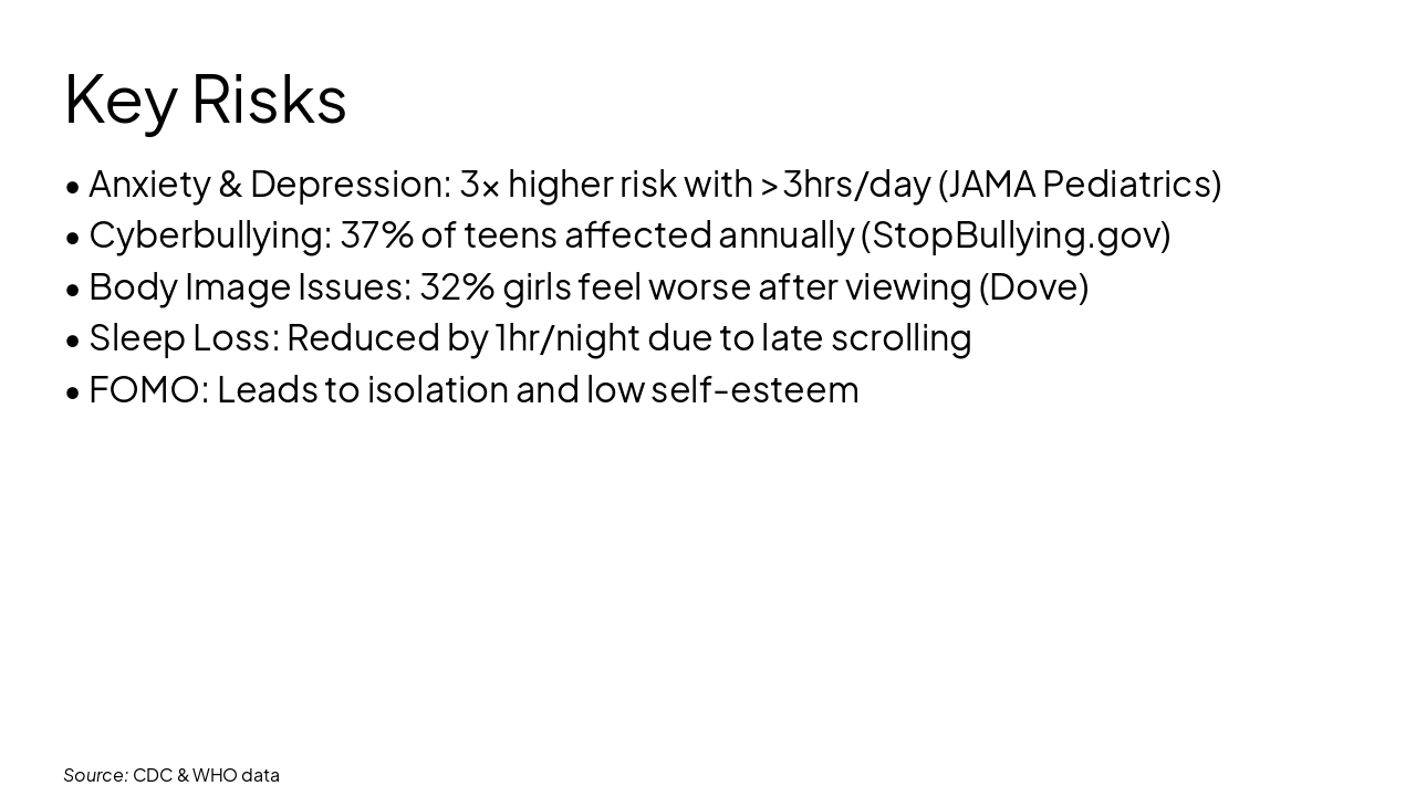 Slide 5 - Key Risks