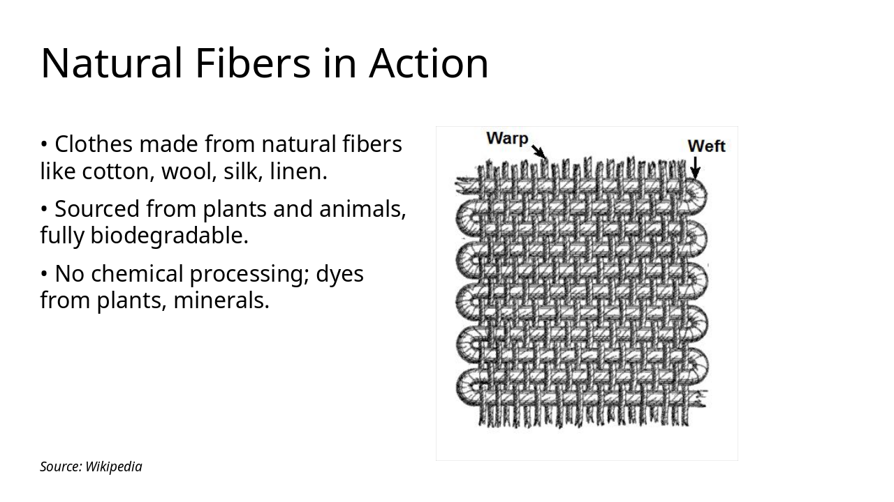 Slide 5 - Natural Fibers in Action