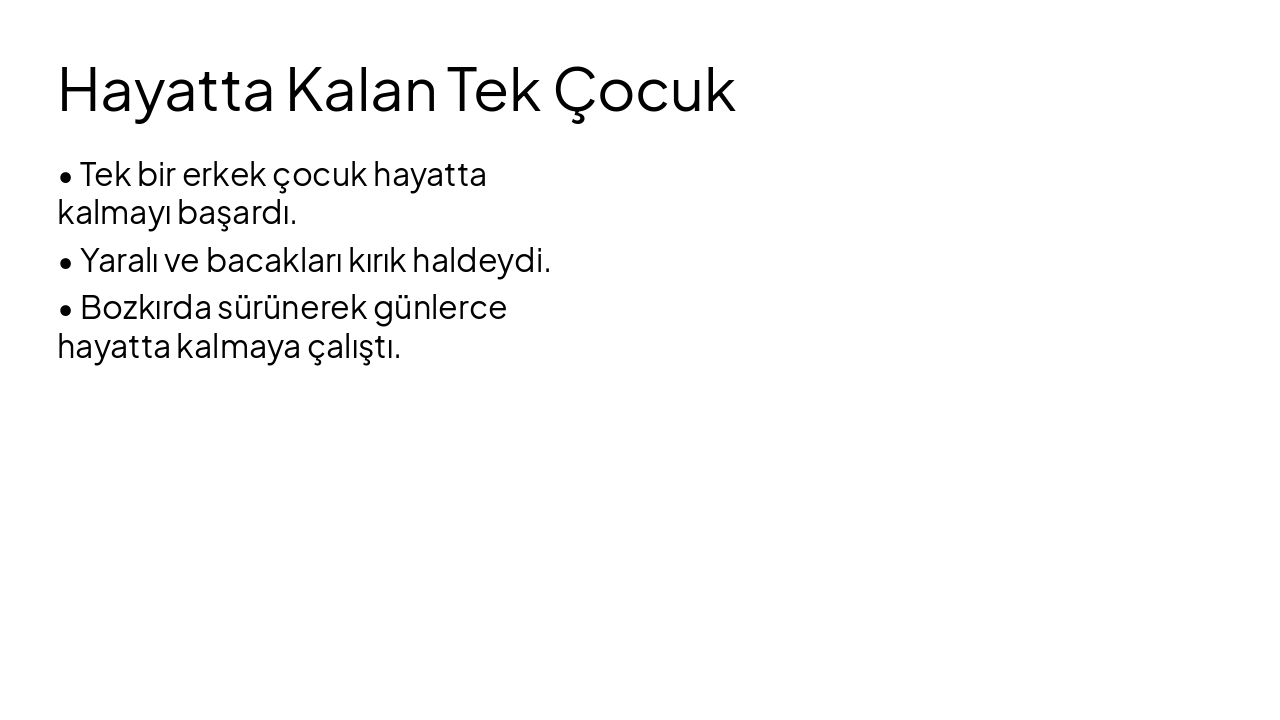 Slide 3 - Hayatta Kalan Tek Çocuk