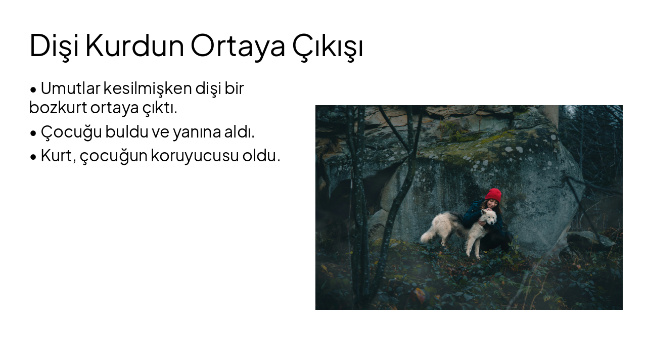 Slide 4 - Dişi Kurdun Ortaya Çıkışı