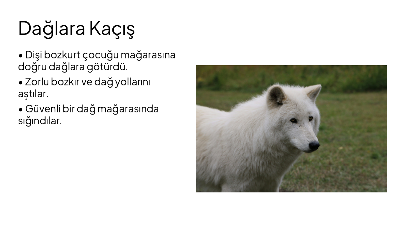 Slide 5 - Dağlara Kaçış