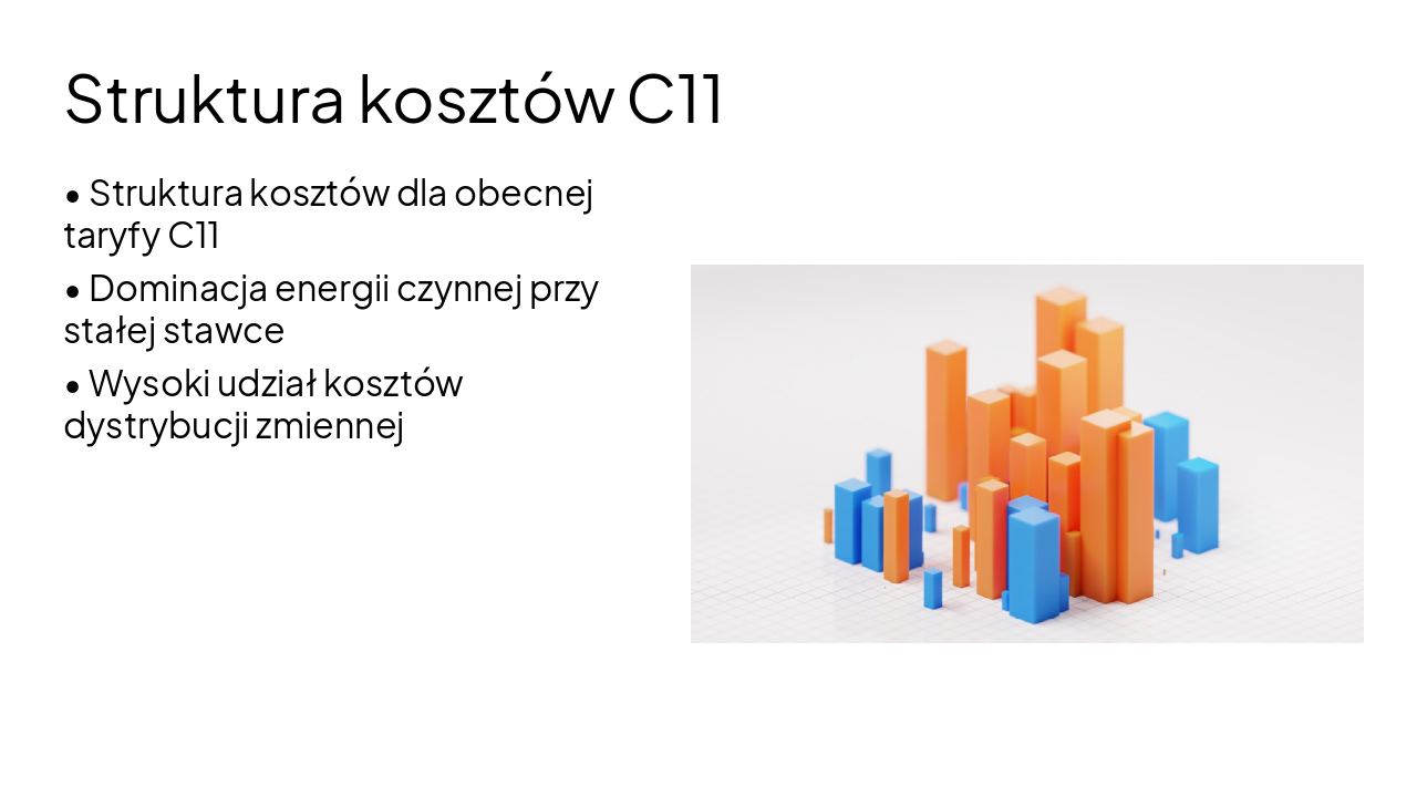 Slide 6 - Struktura kosztów C11