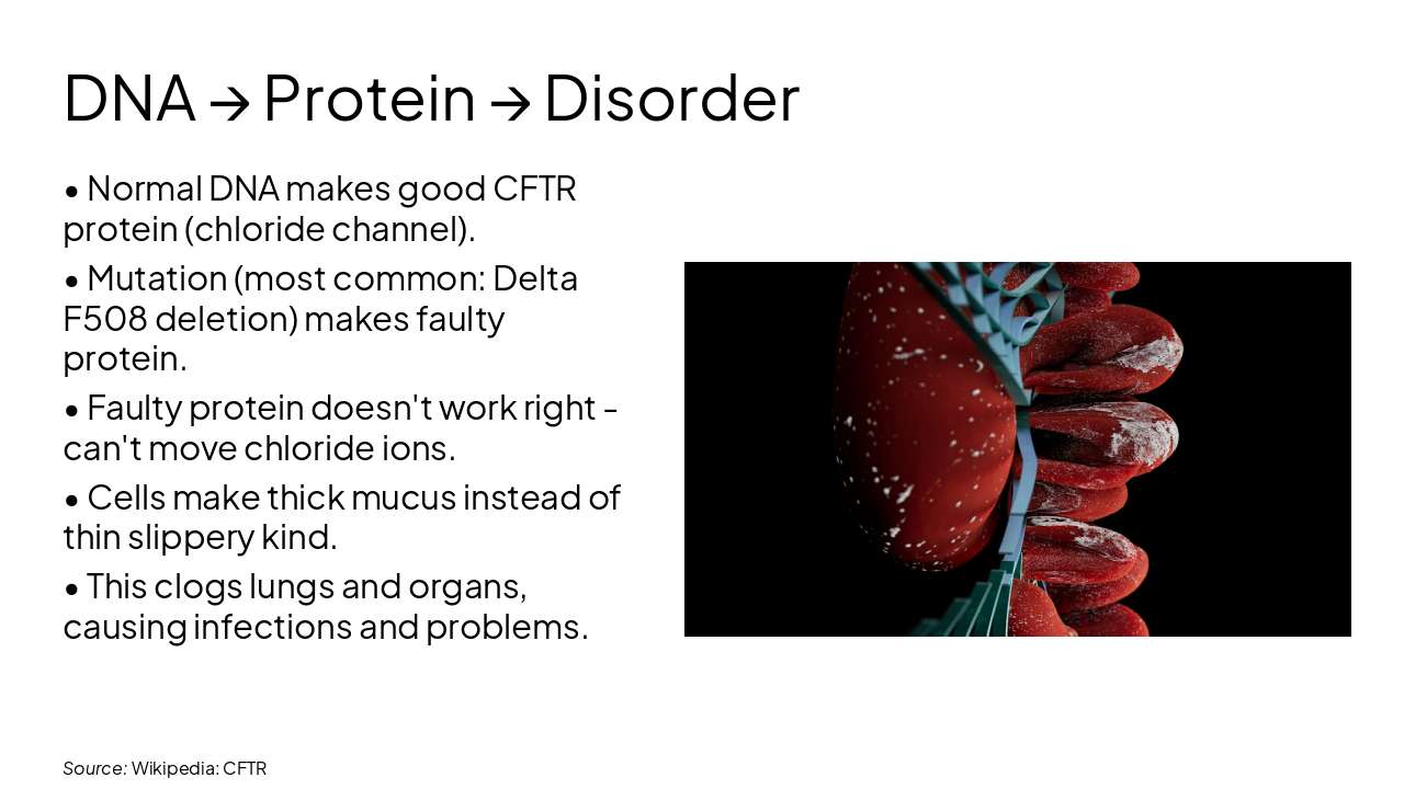 Slide 7 - DNA → Protein → Disorder