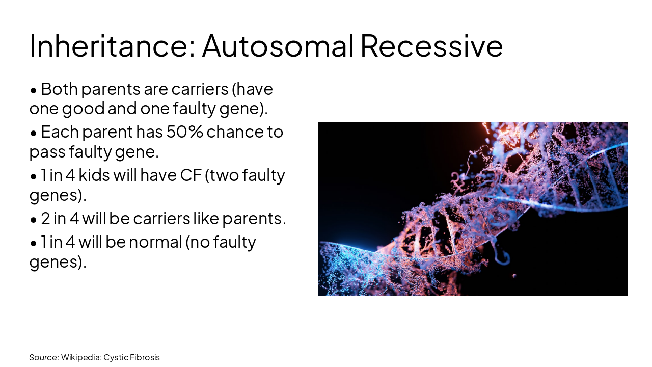 Slide 5 - Inheritance: Autosomal Recessive