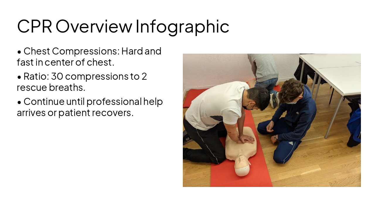 Slide 17 - CPR Overview Infographic