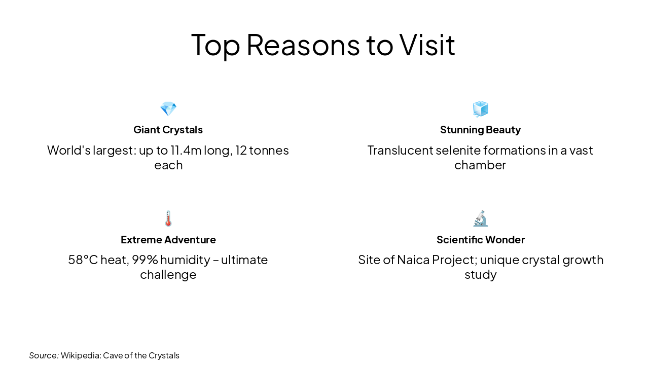 Slide 8 - Top Reasons to Visit