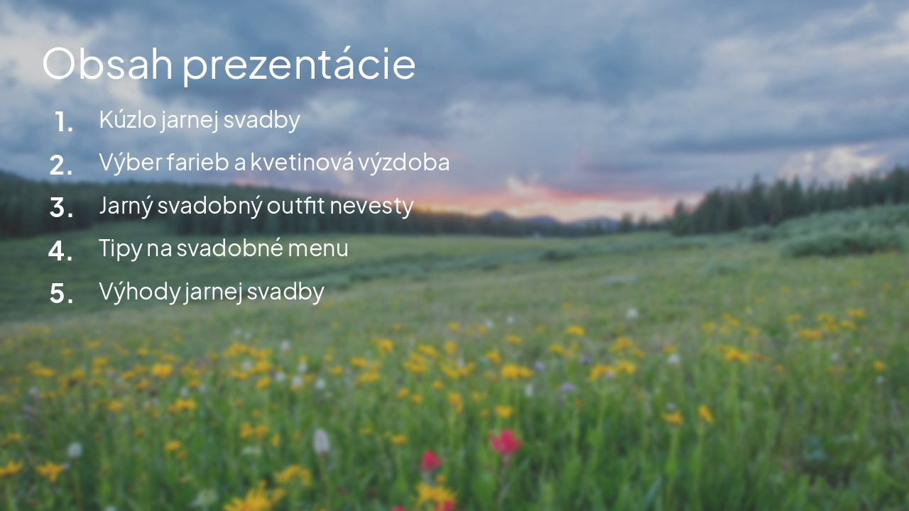 Slide 2 - Obsah prezentácie