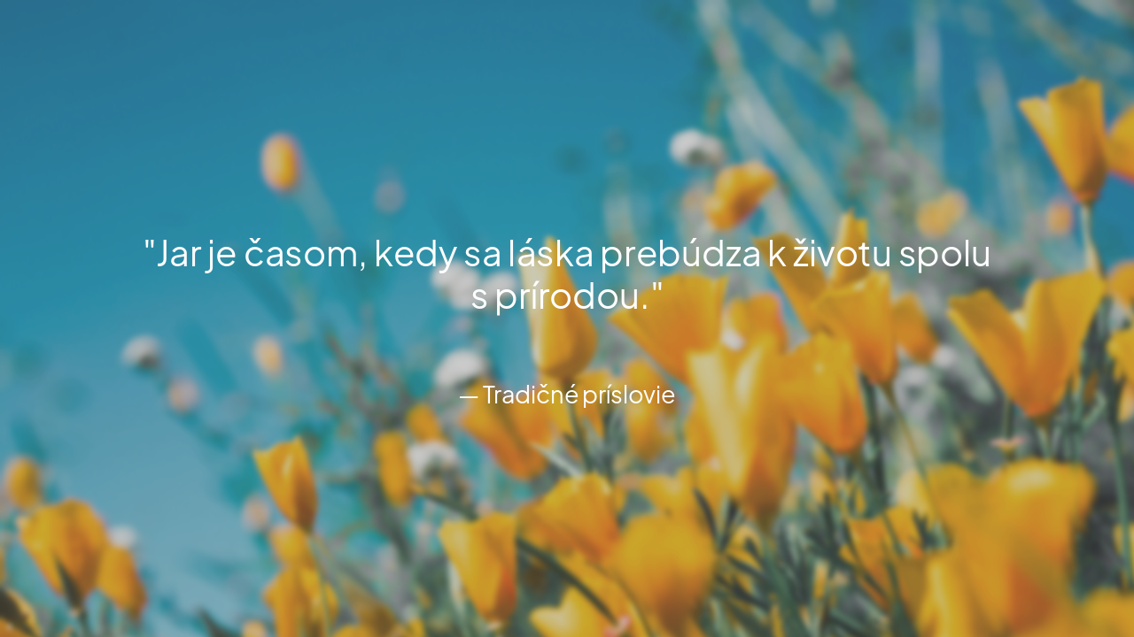 Slide 11 - Myšlienka na záver