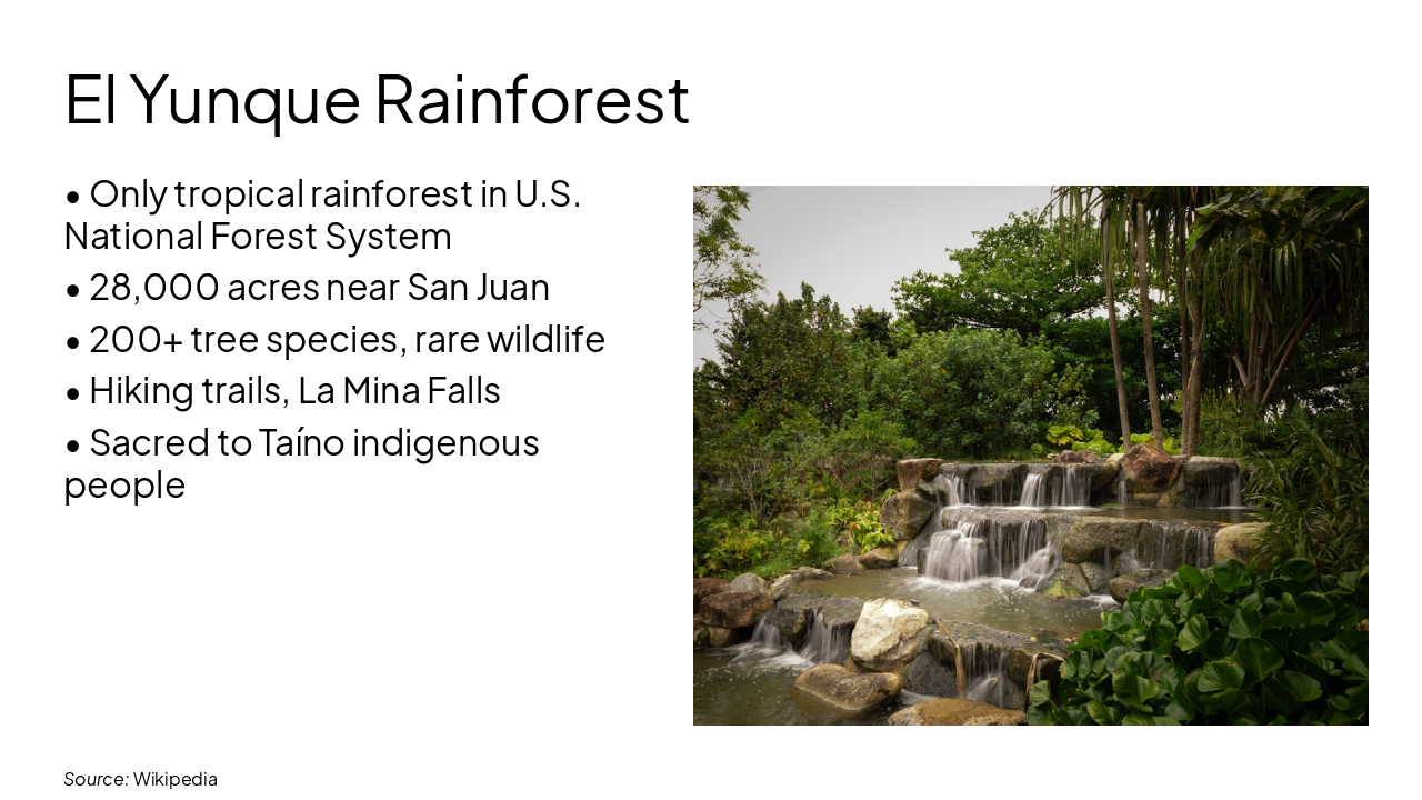 Slide 10 - El Yunque Rainforest