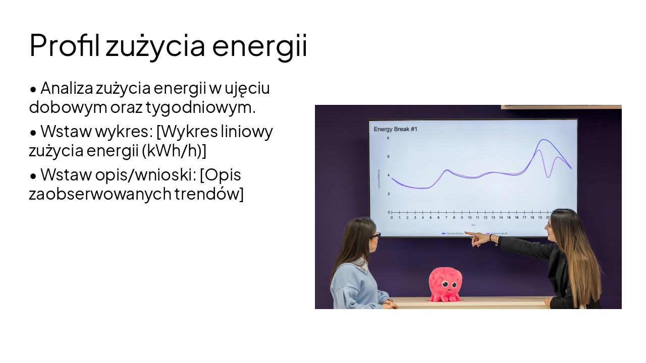 Slide 5 - Profil zużycia energii