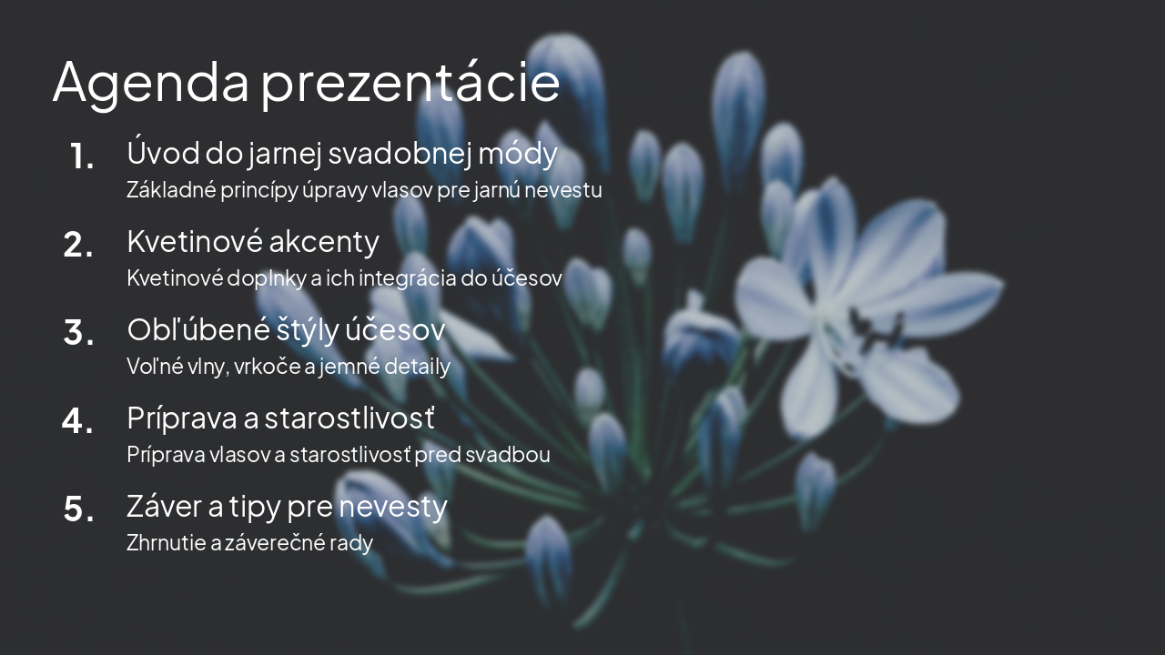 Slide 2 - Agenda prezentácie