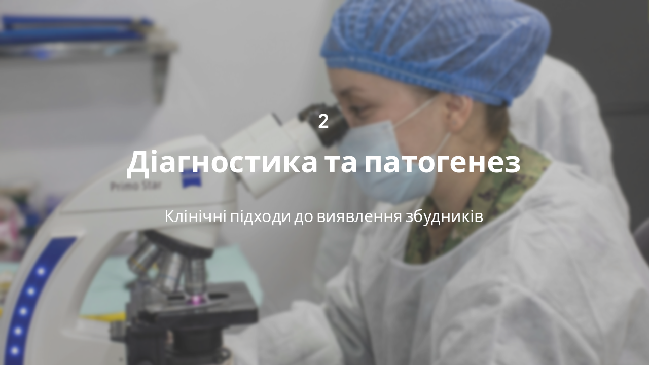 Slide 5 - Розділ 2