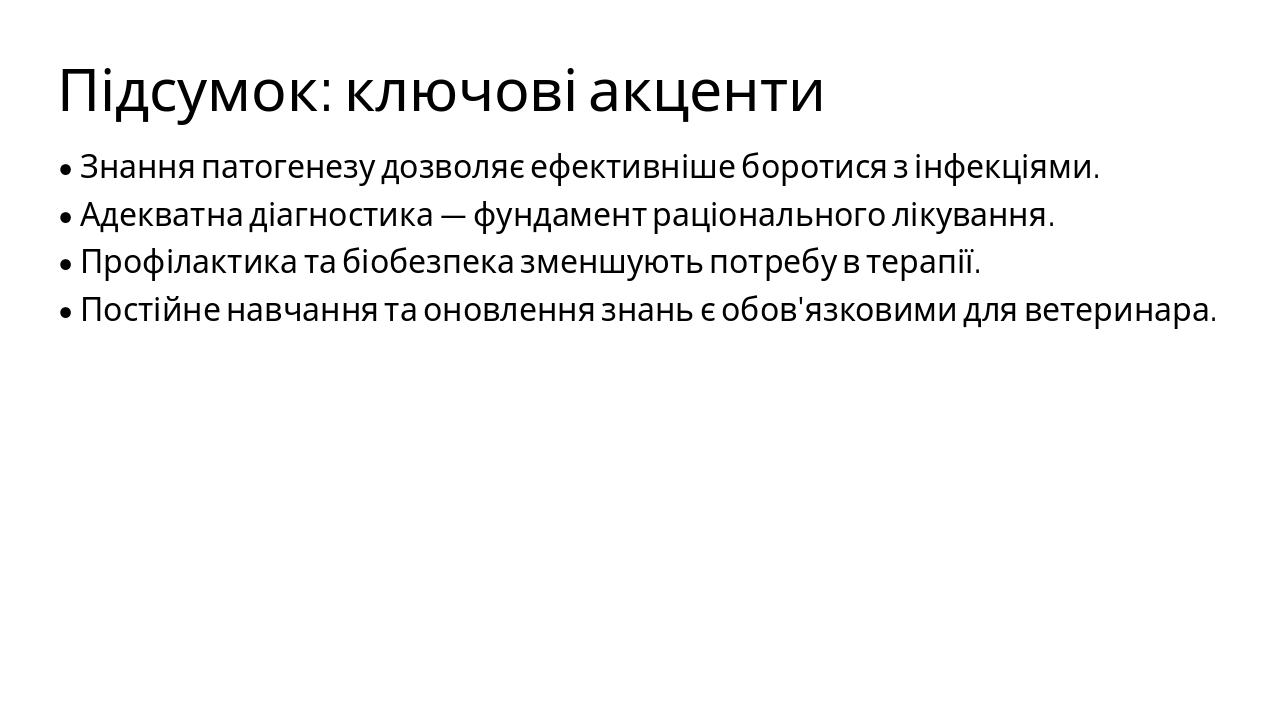 Slide 19 - Підсумок: ключові акценти