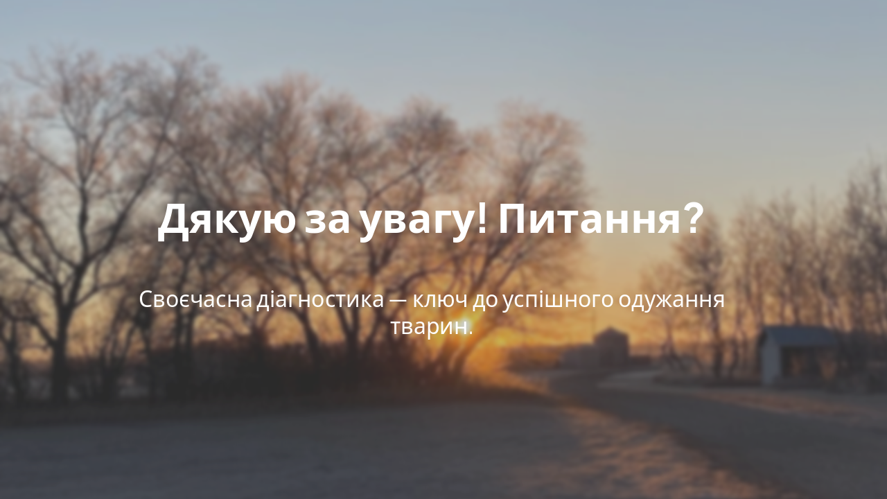 Slide 20 - Висновок