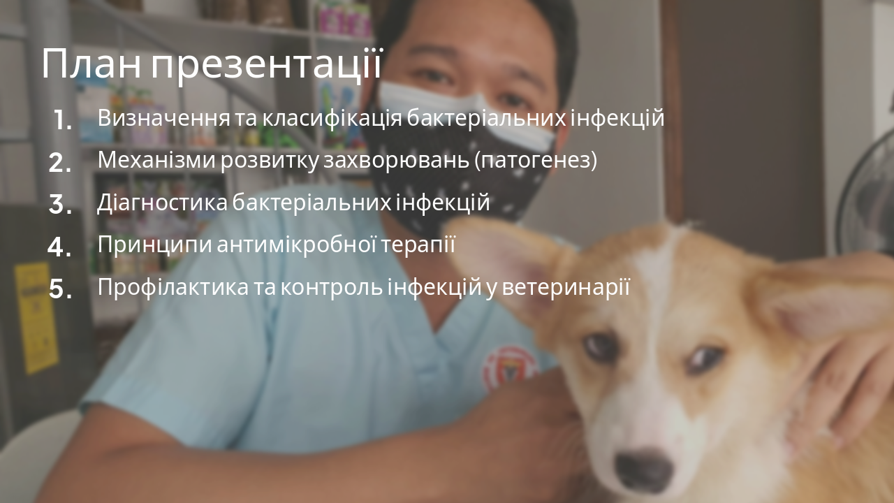 Slide 2 - План презентації