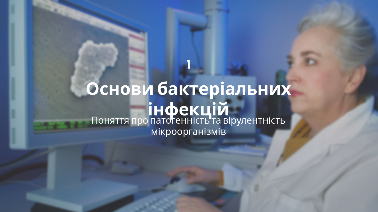 Slide 3 - Розділ 1