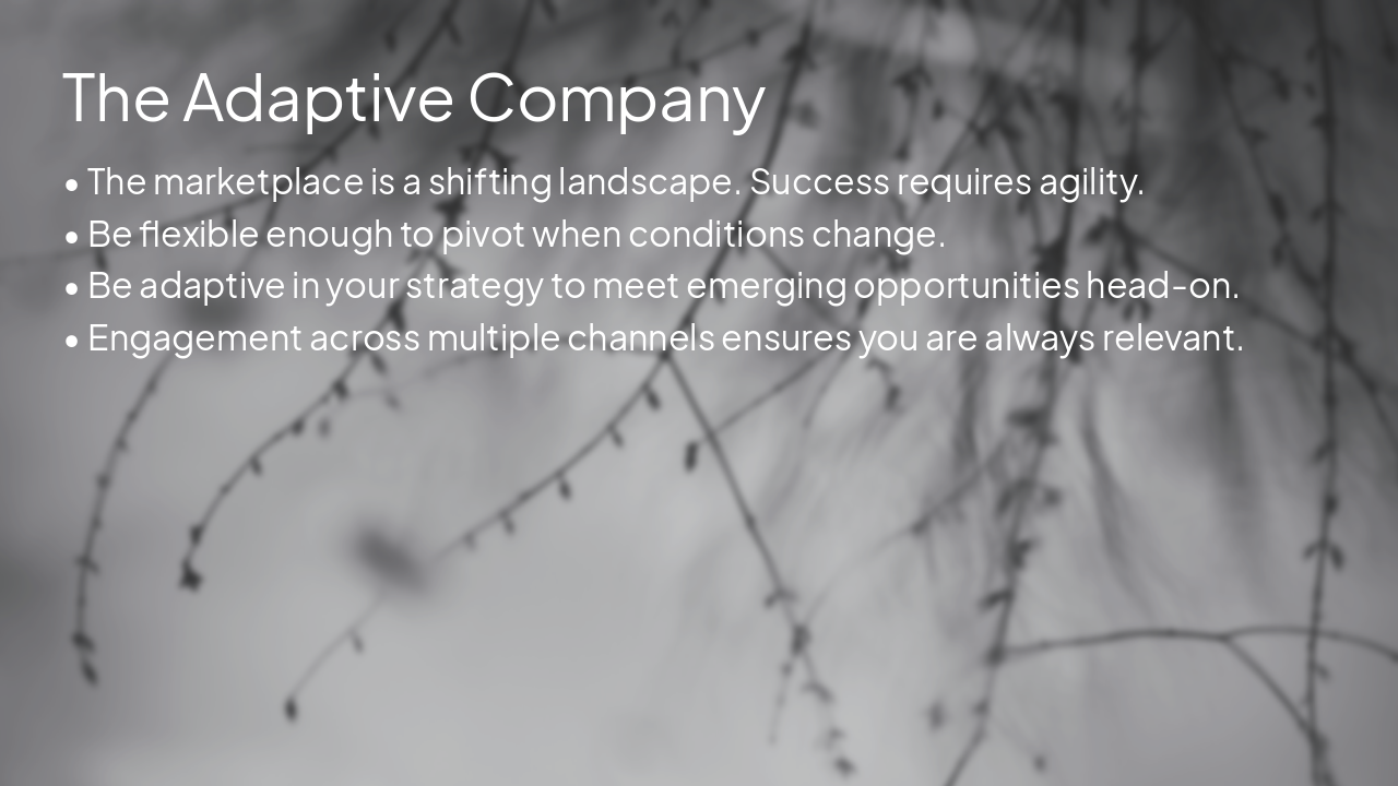 Slide 6 - The Adaptive Company