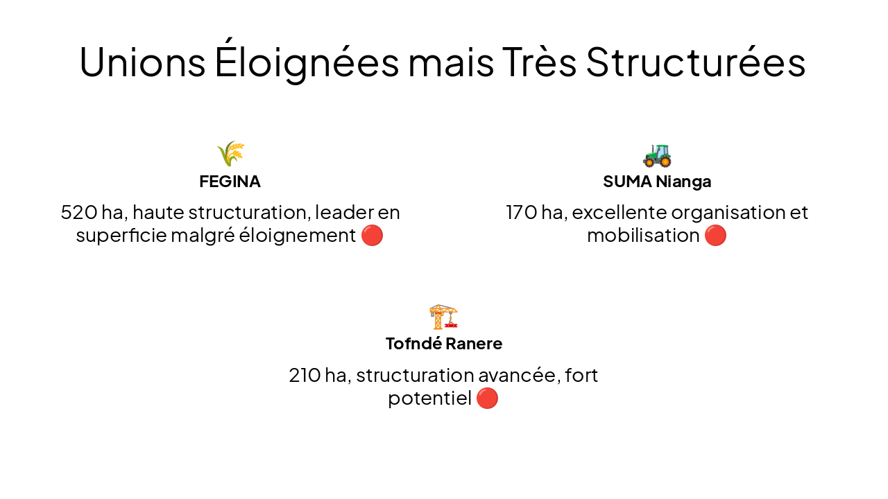 Slide 10 - Unions Éloignées mais Très Structurées