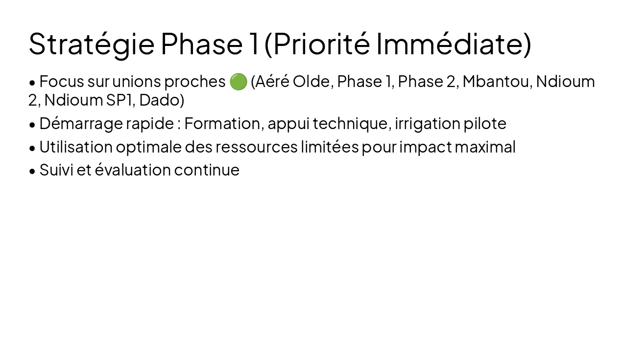 Slide 11 - Stratégie Phase 1 (Priorité Immédiate)
