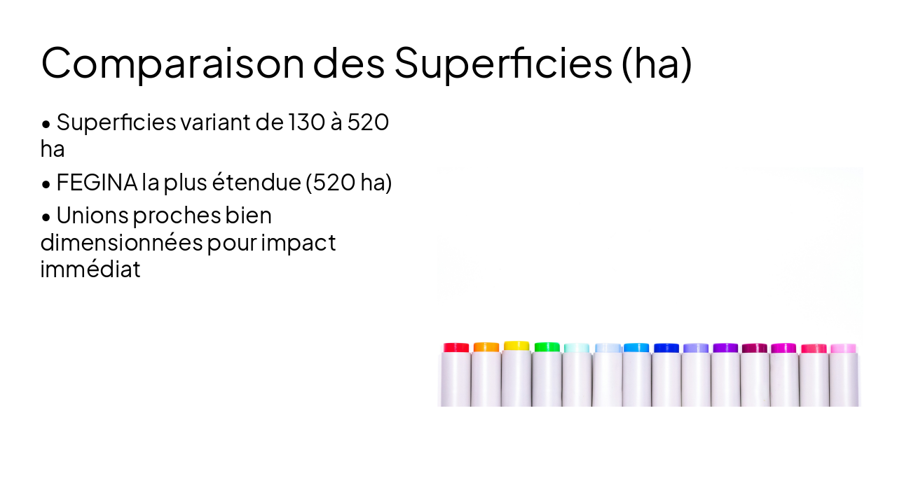 Slide 5 - Comparaison des Superficies (ha)