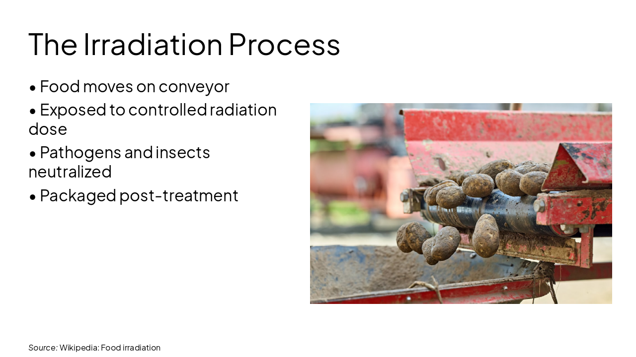 Slide 5 - The Irradiation Process