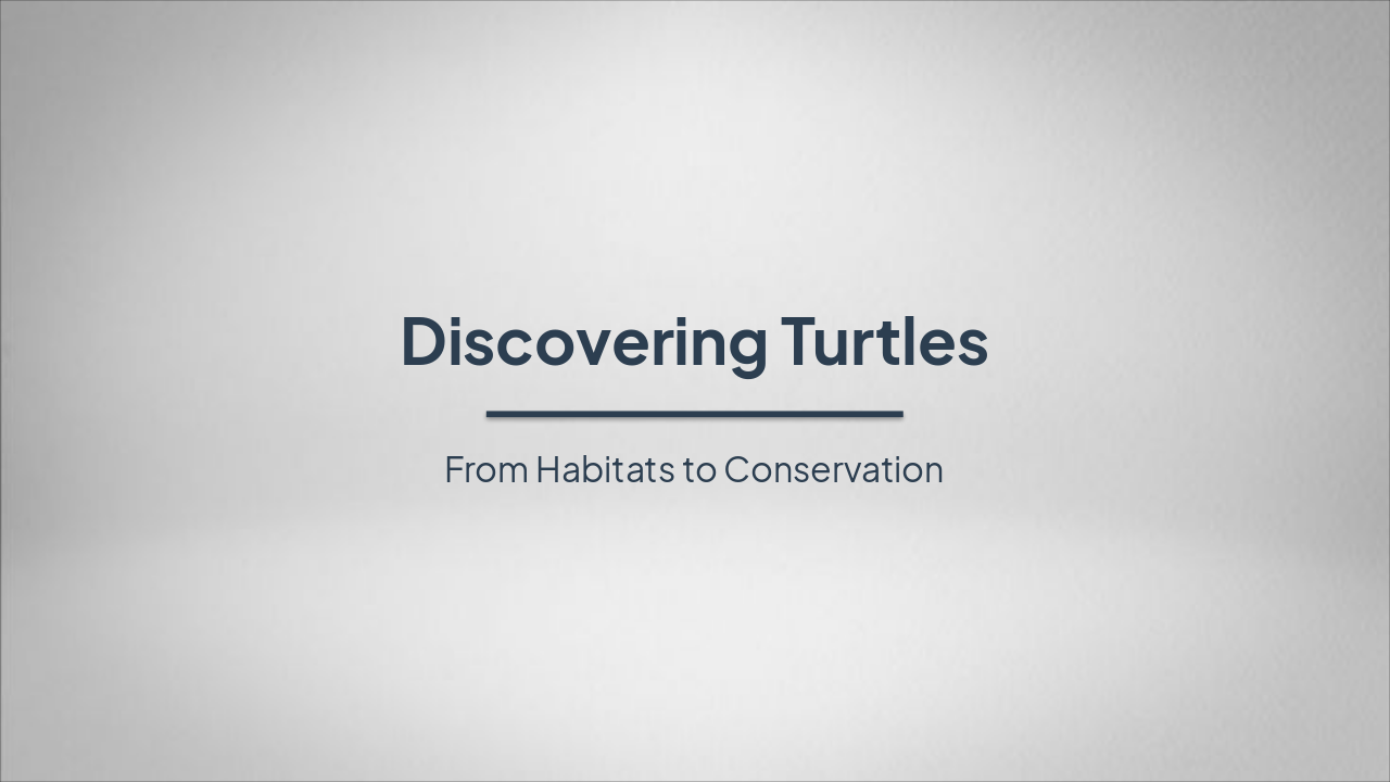 Discovering Turtles: Ancient Wonders
