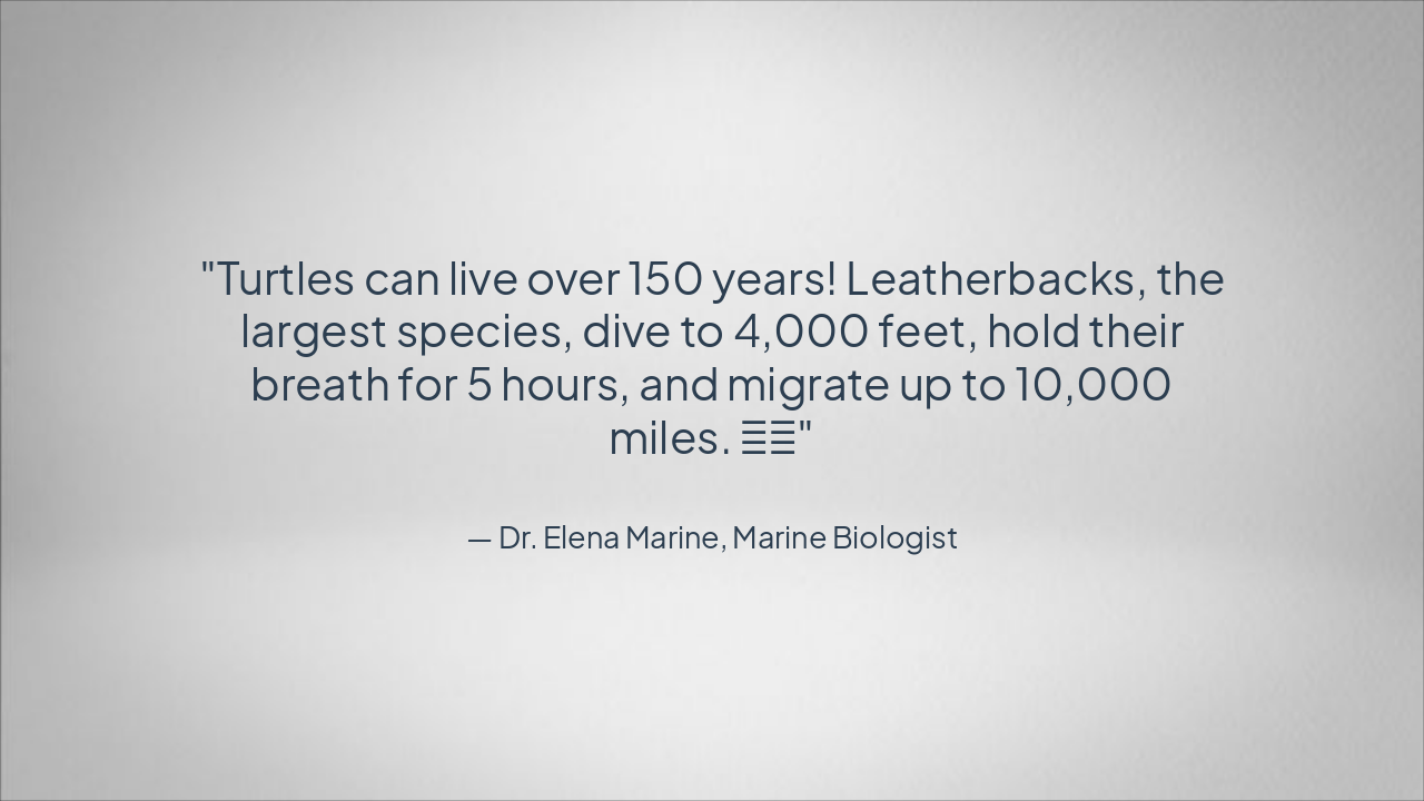 Slide 10 - Fun Facts About Turtles