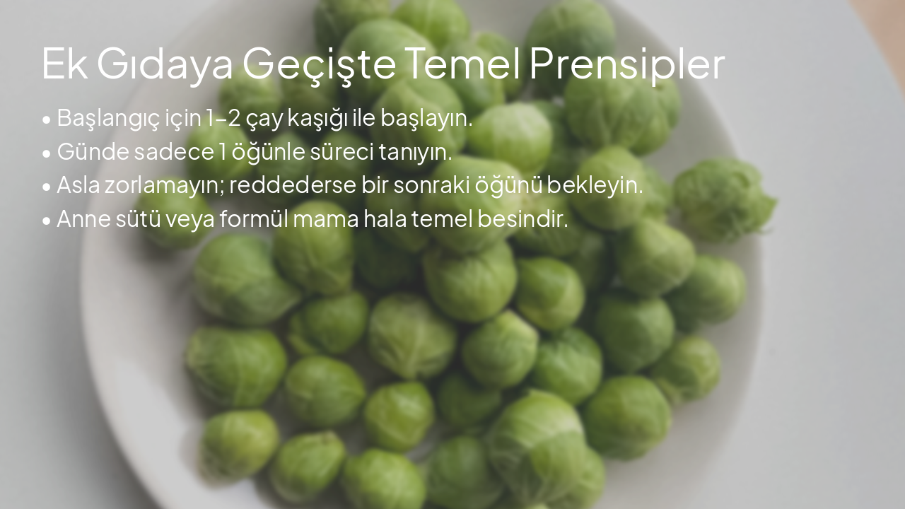 Slide 3 - Ek Gıdaya Geçişte Temel Prensipler
