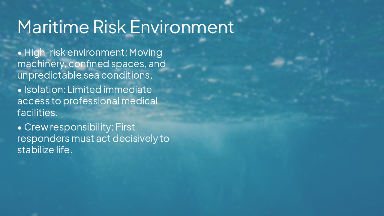 Slide 3 - Maritime Risk Environment