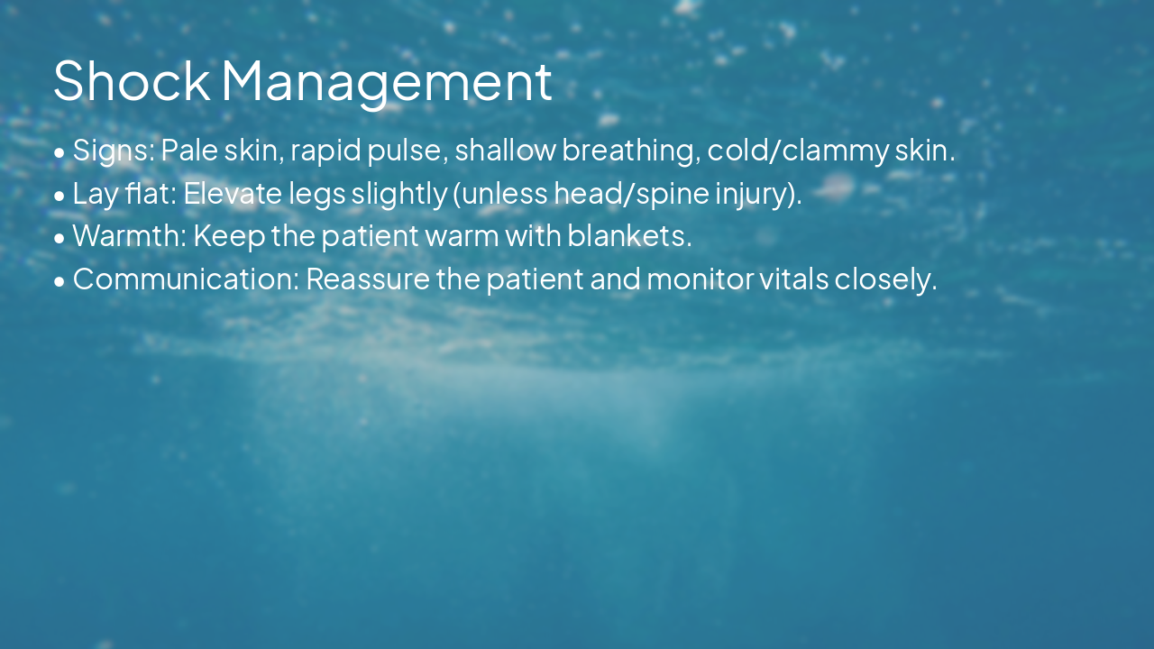 Slide 13 - Shock Management