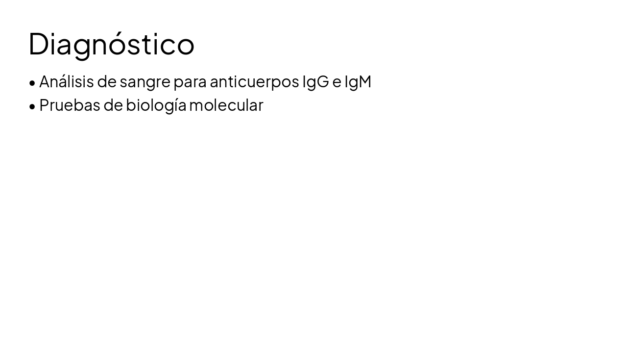 Slide 8 - Diagnóstico
