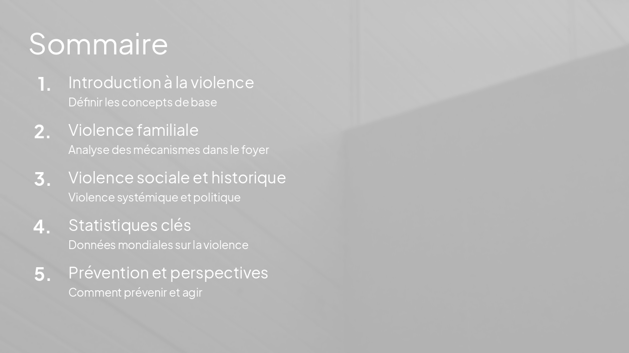 Slide 2 - Sommaire