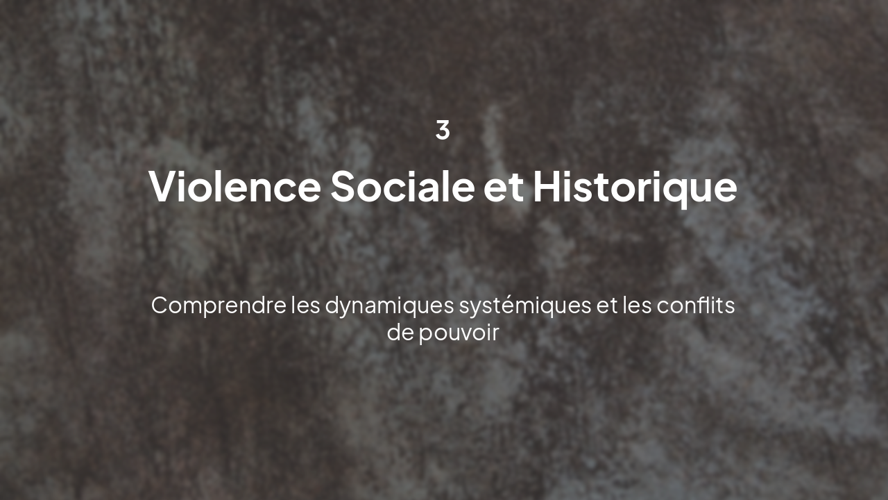 Slide 4 - Violence Sociale
