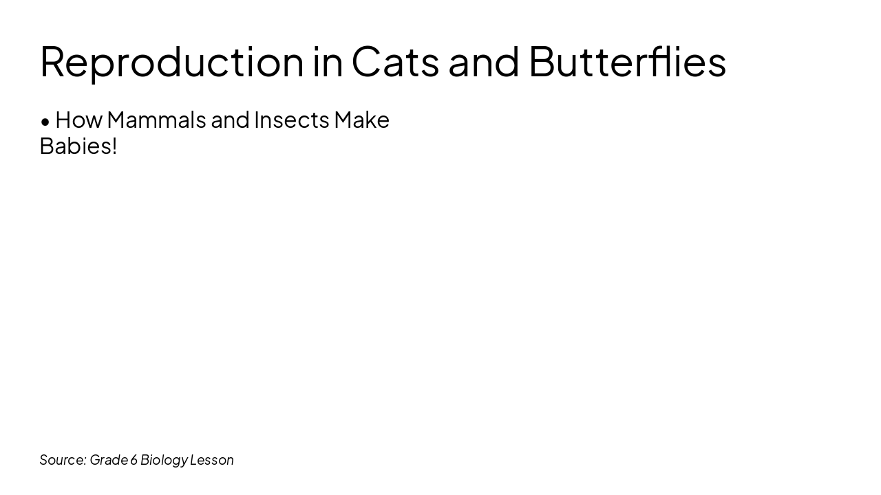 Cats & Butterflies: Baby Making Magic!