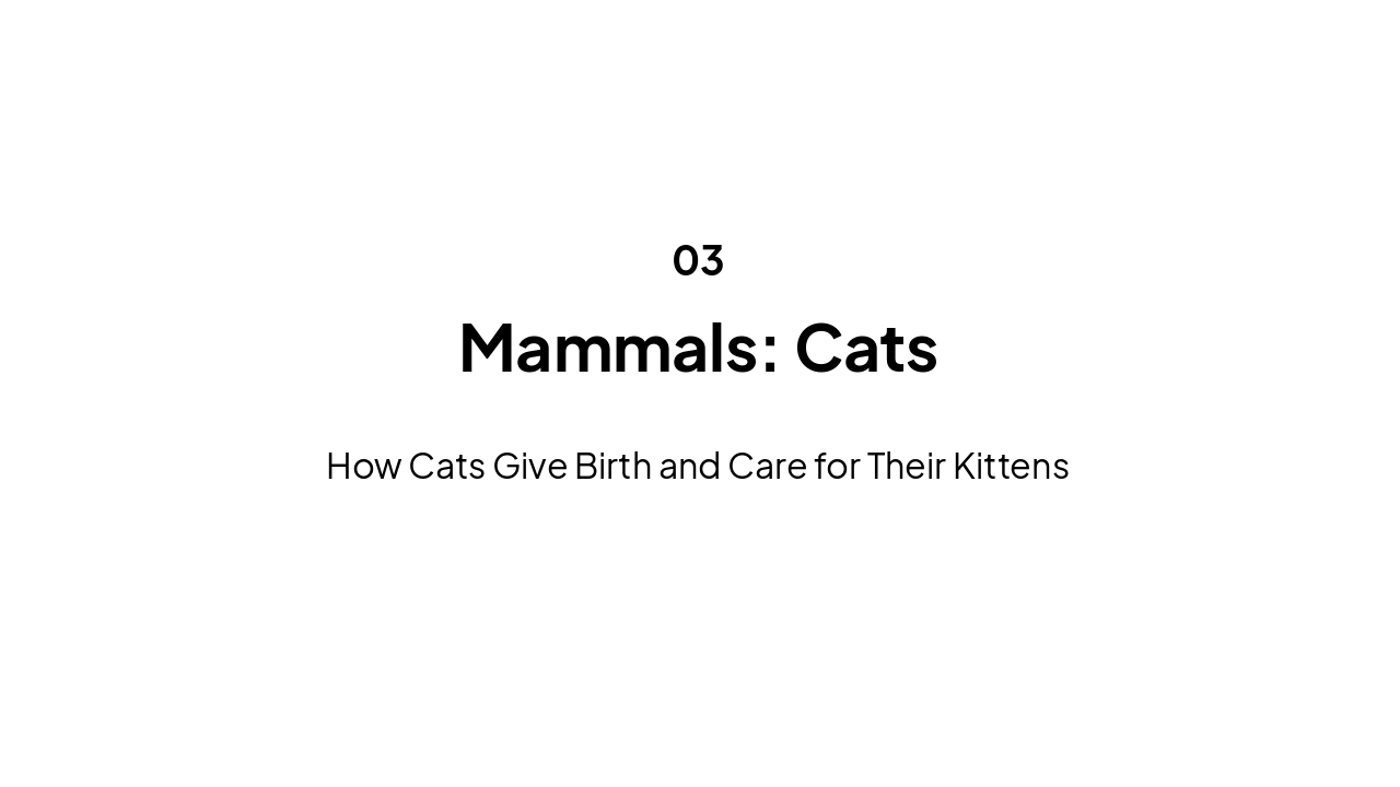 Slide 4 - Mammals: Cats