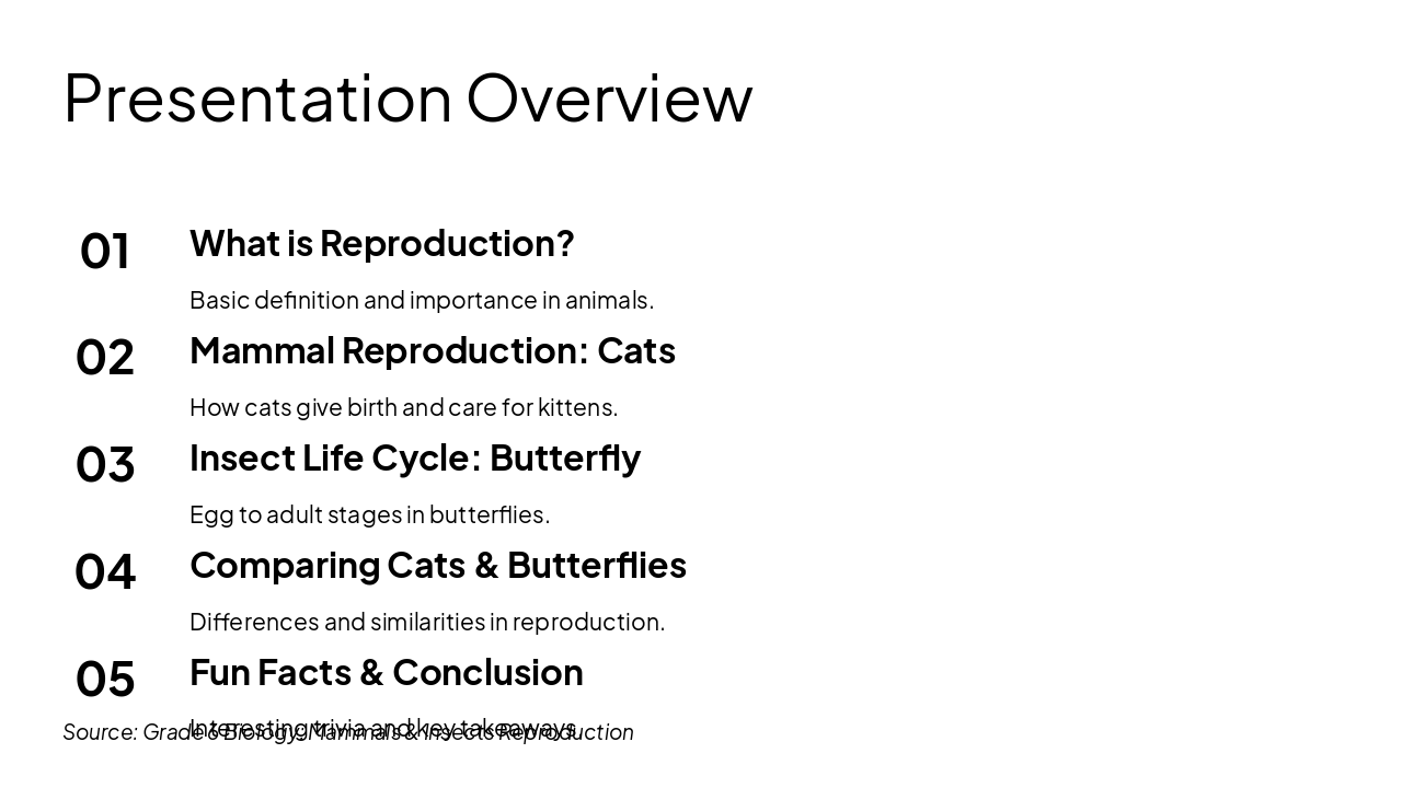 Slide 2 - Presentation Overview